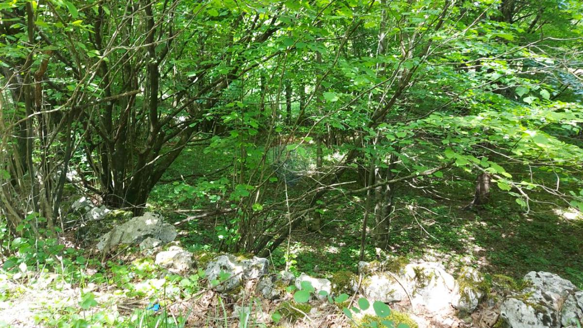 Stavbno zemljišče Klana, 650m2