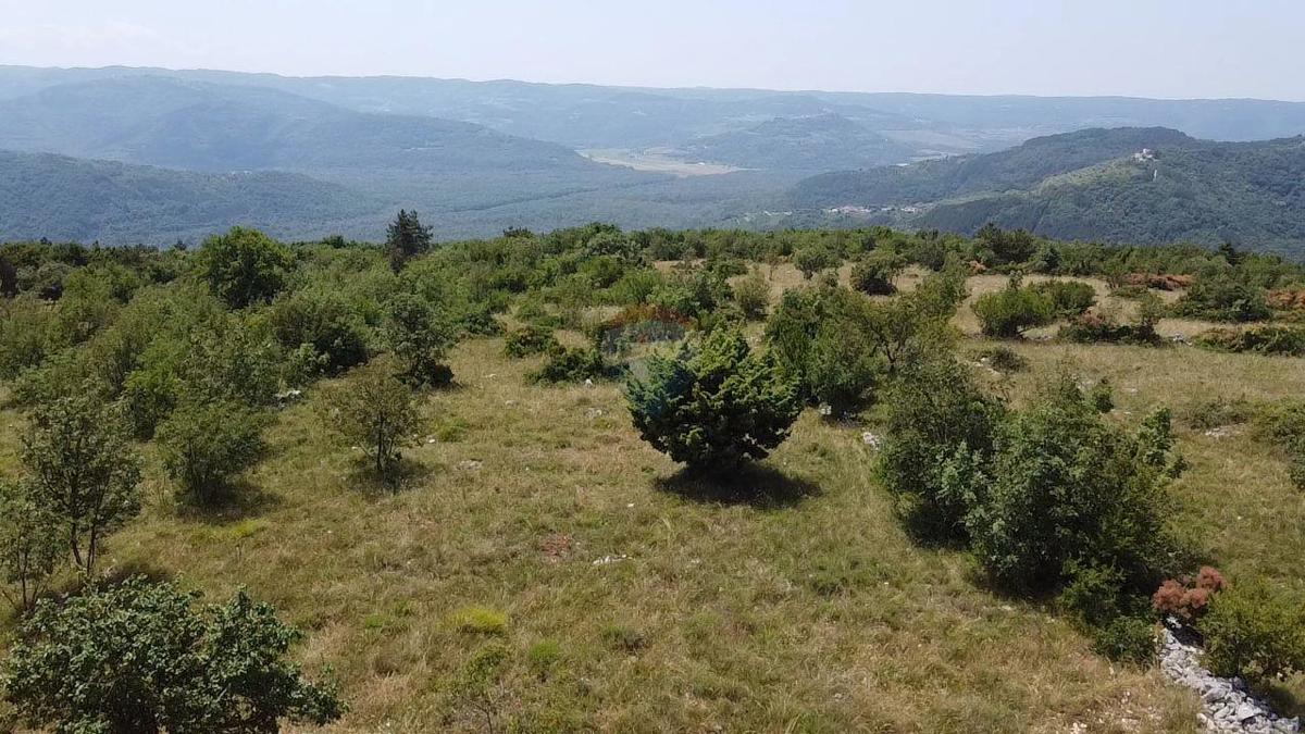 Stavbno zemljišče Zrenj, Oprtalj, 6.758m2