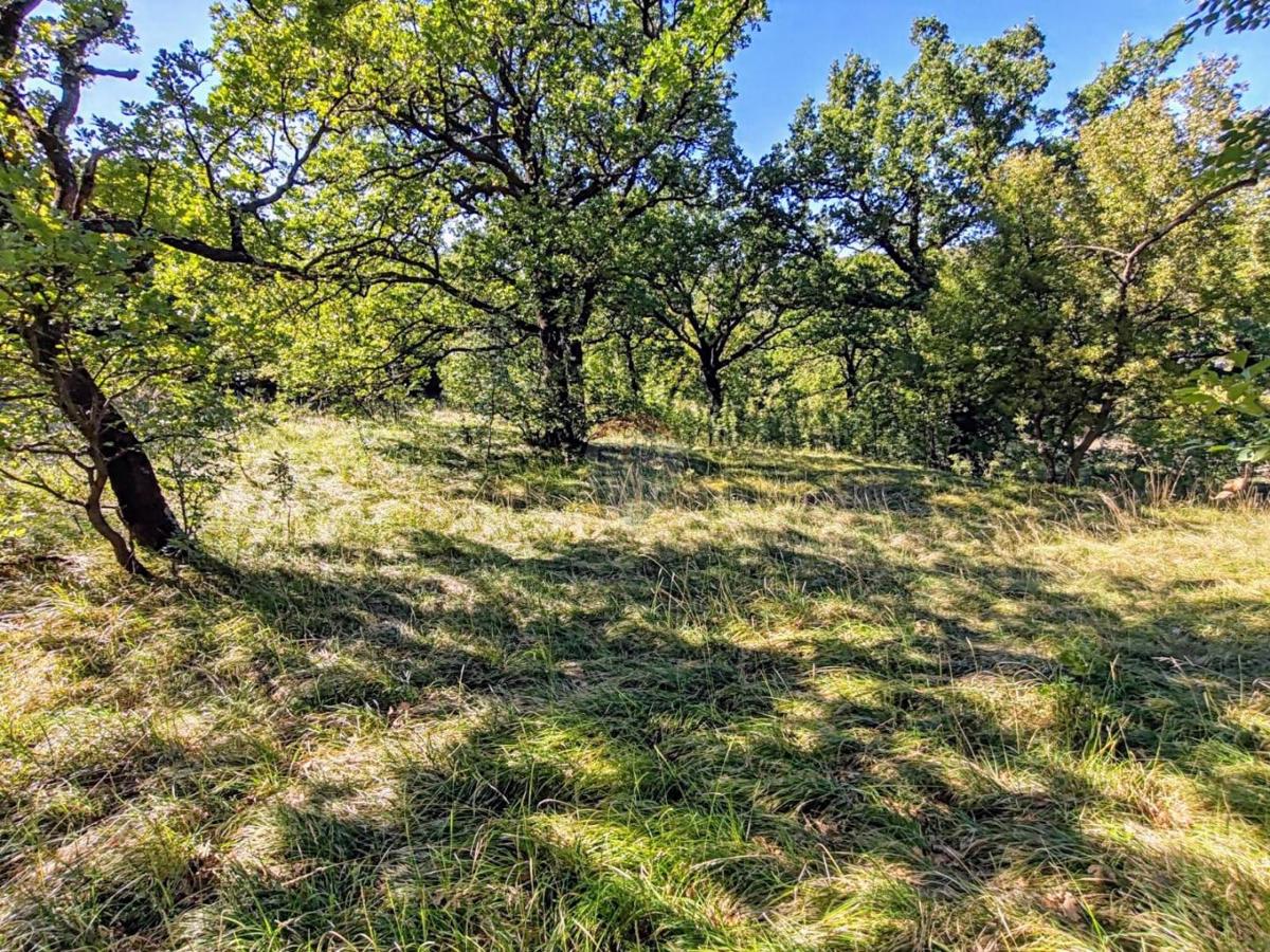 Stavbno zemljišče Krasica, Bakar, 7.776m2