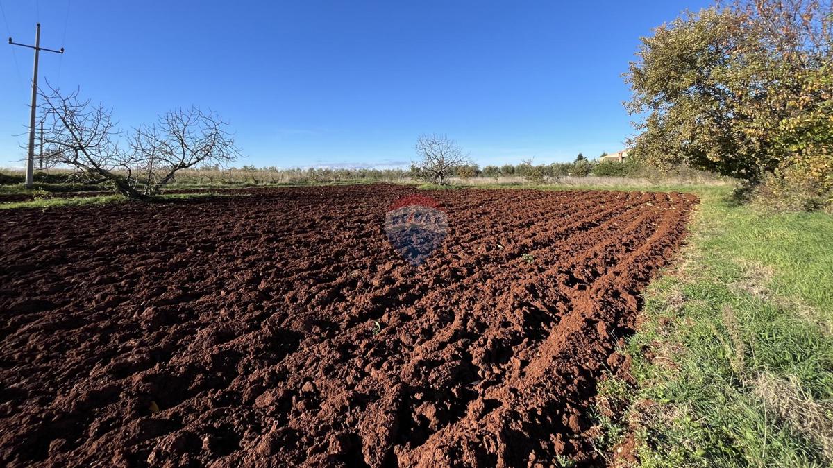 Stavbno zemljišče Kaštelir, Kaštelir-Labinci, 1.180m2