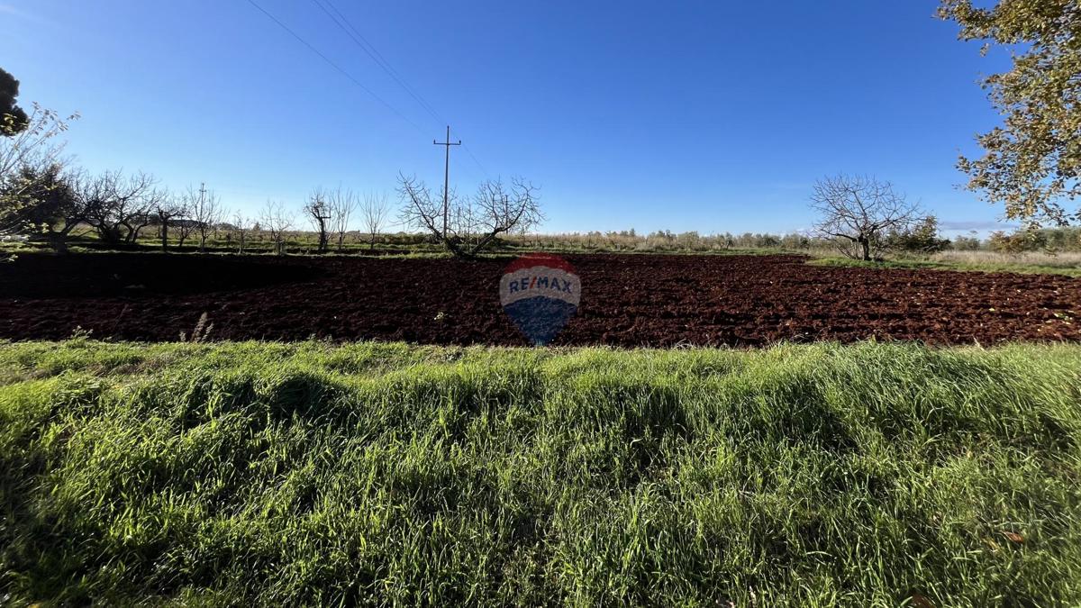 Stavbno zemljišče Kaštelir, Kaštelir-Labinci, 1.180m2