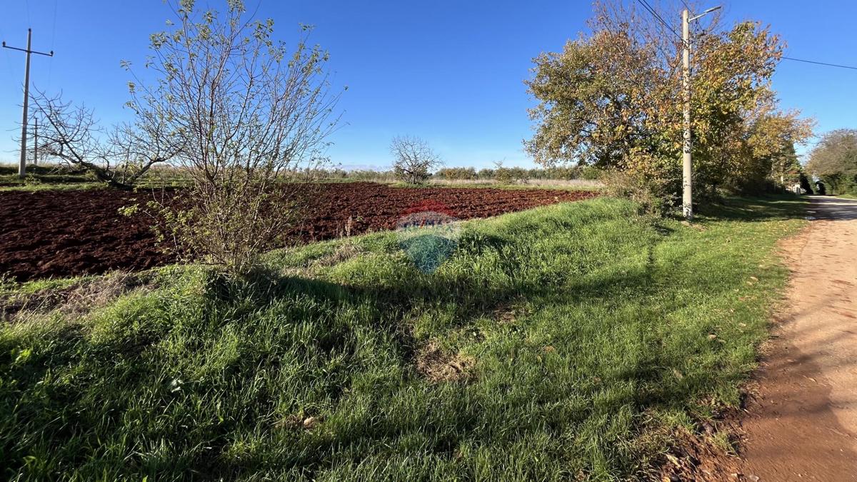 Stavbno zemljišče Kaštelir, Kaštelir-Labinci, 1.180m2