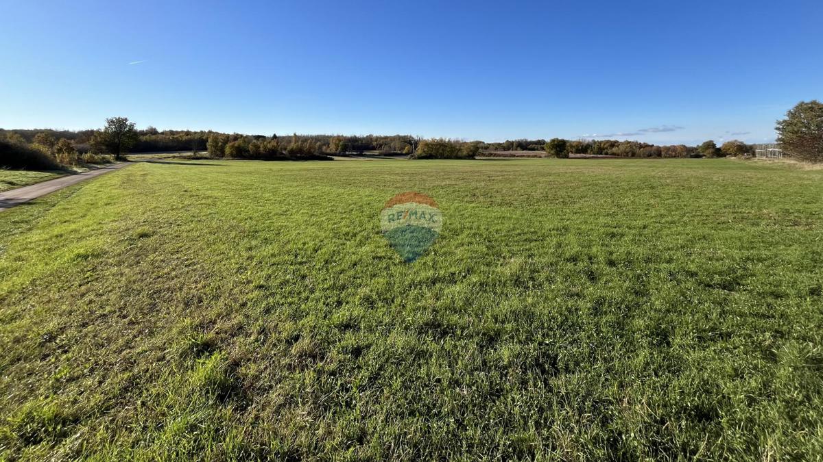 Stavbno zemljišče Cerjani, Kaštelir-Labinci, 32.619m2