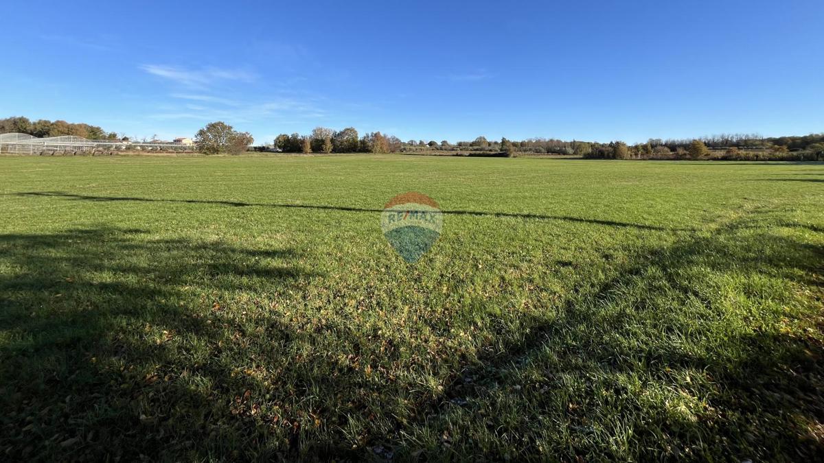 Stavbno zemljišče Cerjani, Kaštelir-Labinci, 32.619m2
