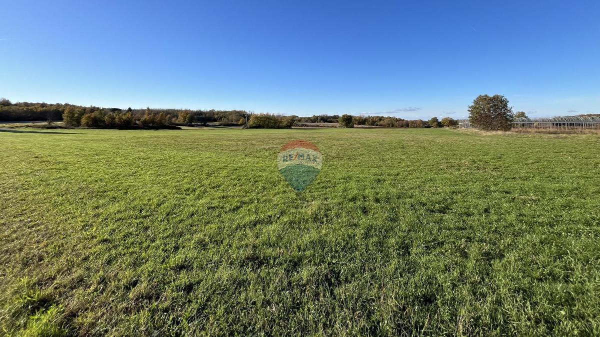 Stavbno zemljišče Cerjani, Kaštelir-Labinci, 32.619m2