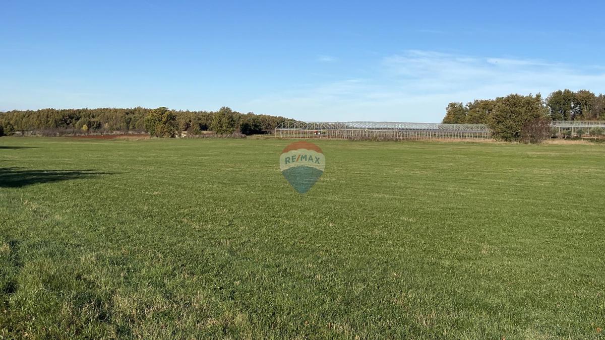 Stavbno zemljišče Cerjani, Kaštelir-Labinci, 32.619m2