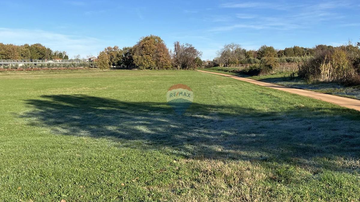 Stavbno zemljišče Cerjani, Kaštelir-Labinci, 32.619m2