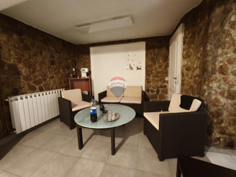 Hiša Donja Drenova, Sveti Ivan Zelina, 580m2