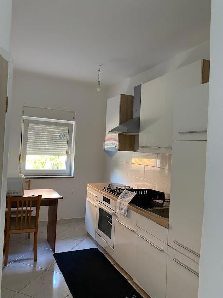 Hiša Donja Drenova, Sveti Ivan Zelina, 580m2