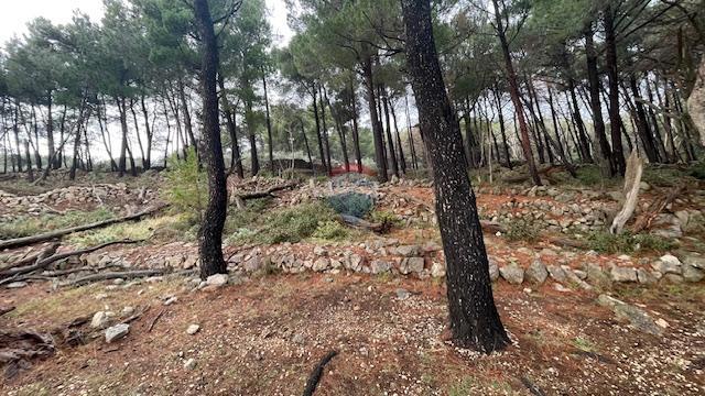 Stavbno zemljišče Krk, 1.397m2