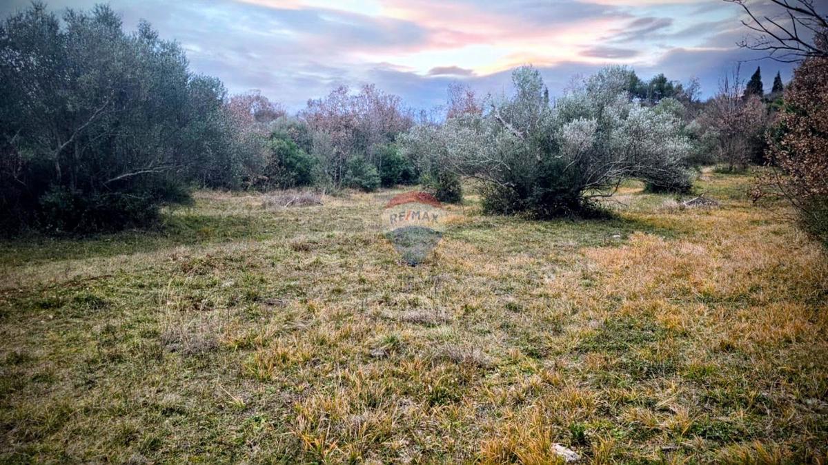 Stavbno zemljišče Rovinj, 3.600m2