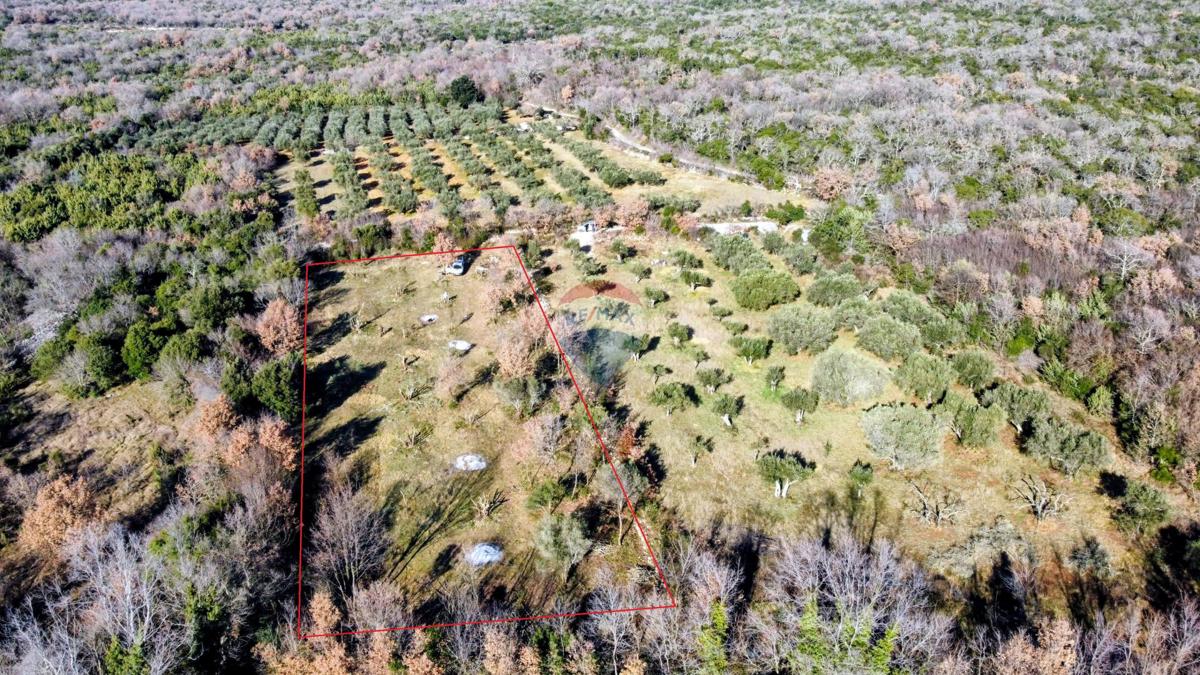 Stavbno zemljišče Rovinj, 3.600m2