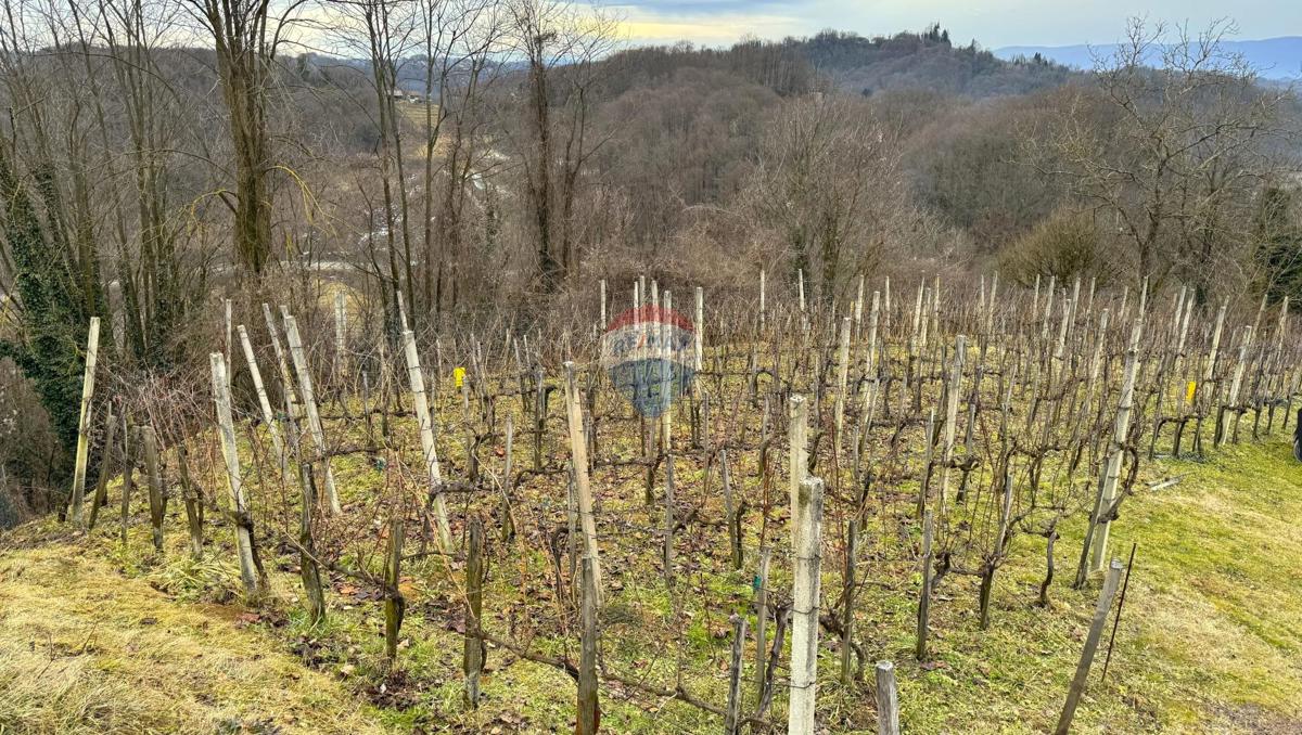 Hiša Črešnjevec, Tuhelj, 77m2