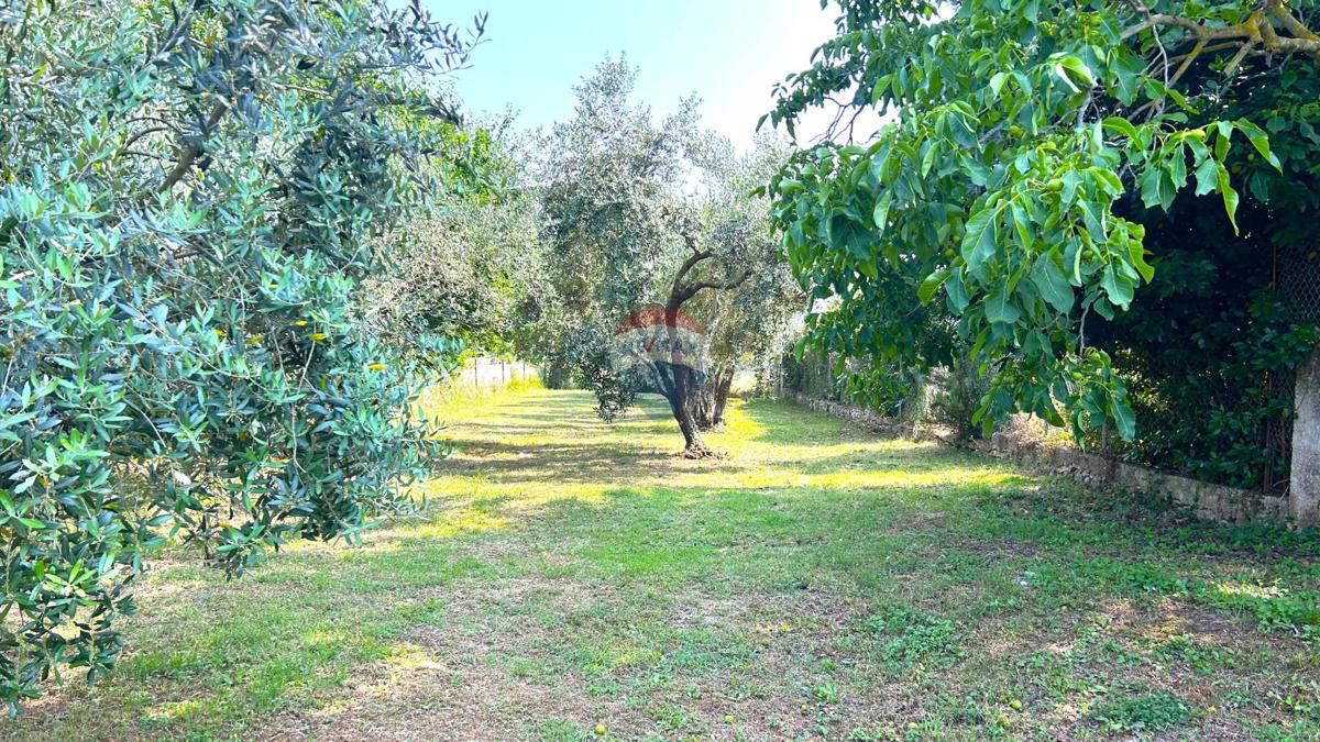 Stavbno zemljišče Umag, 592m2