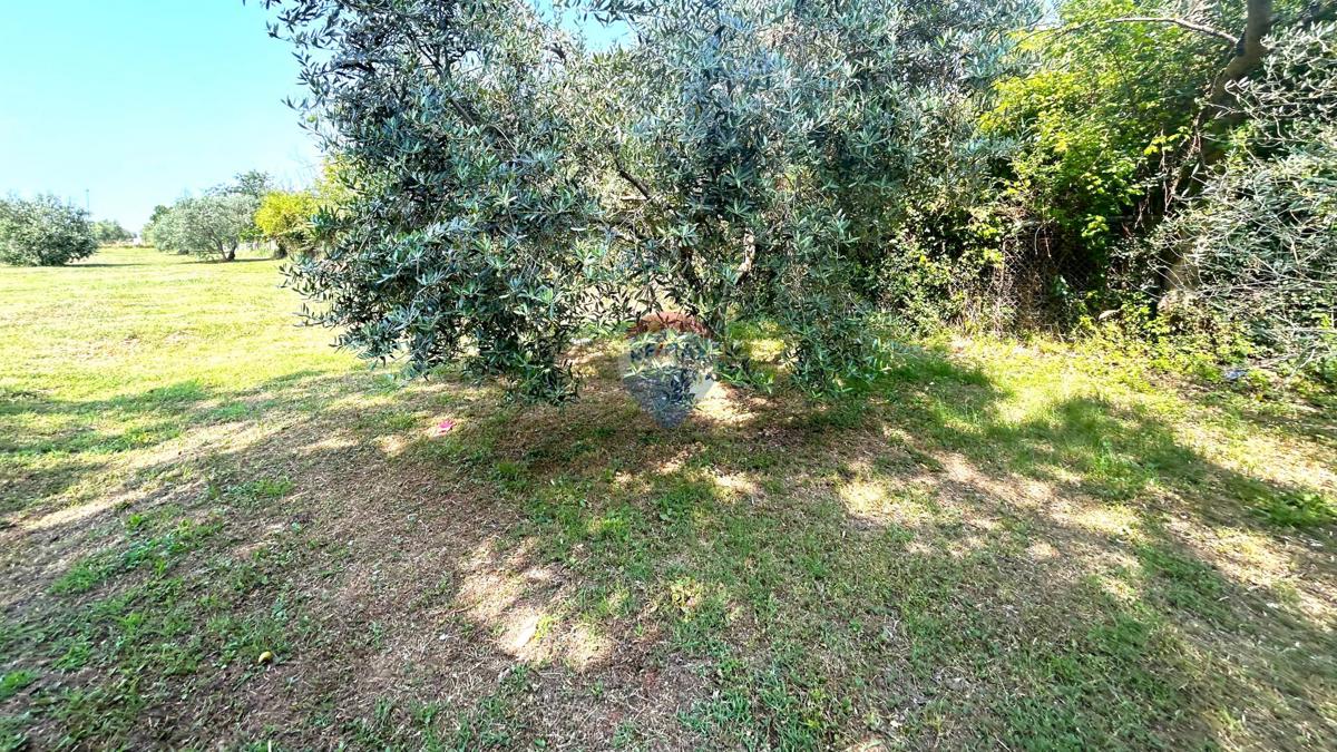 Stavbno zemljišče Umag, 592m2