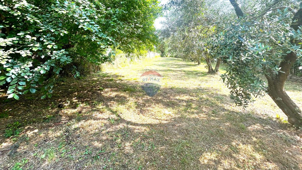 Stavbno zemljišče Umag, 592m2