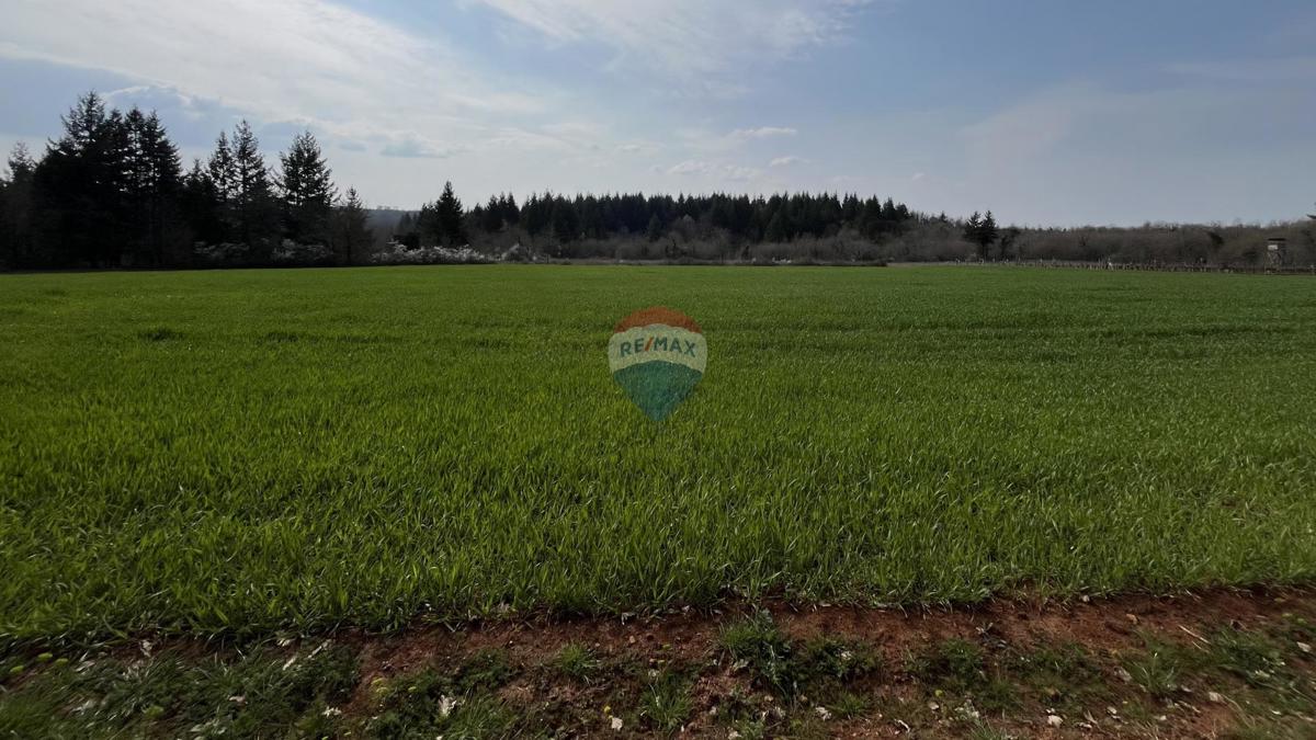 Stavbno zemljišče Markovići, Vižinada, 17.273m2