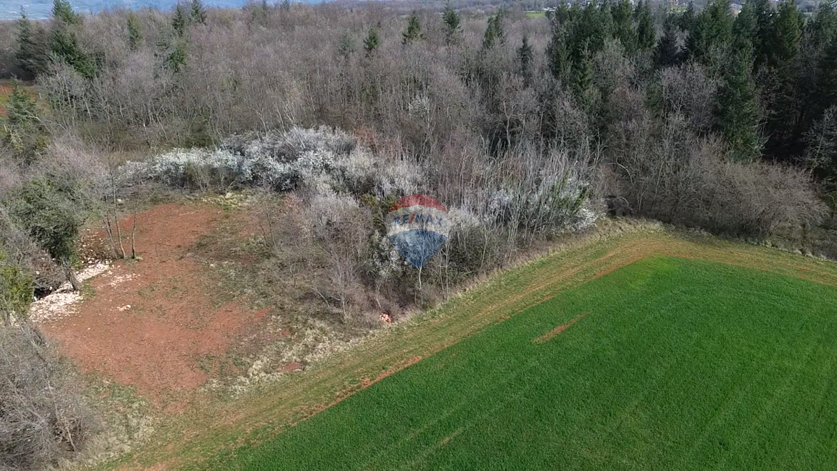 Stavbno zemljišče Markovići, Vižinada, 17.273m2