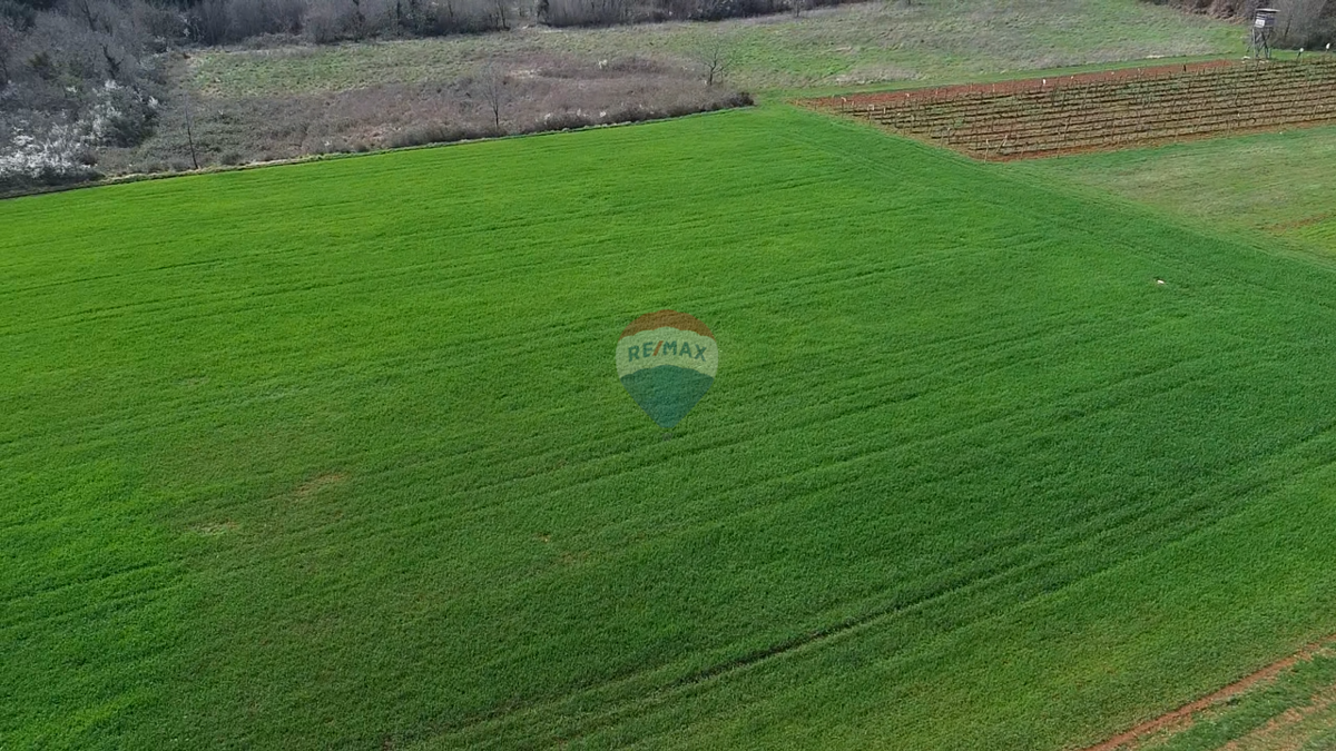 Stavbno zemljišče Markovići, Vižinada, 17.273m2