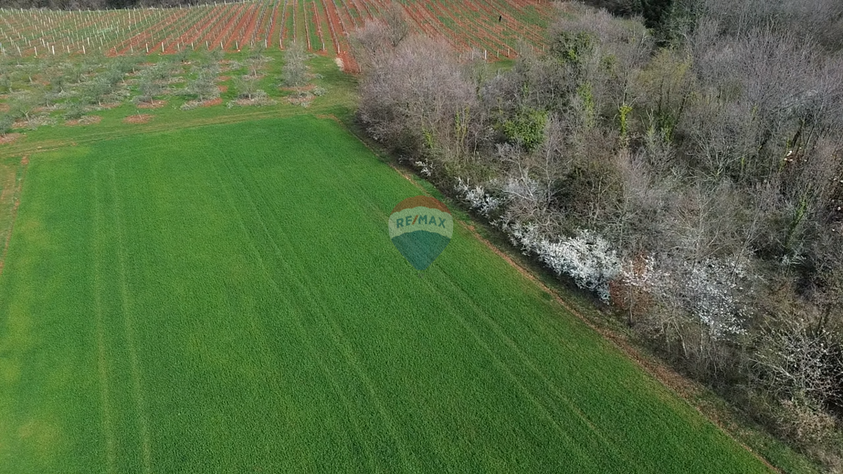 Stavbno zemljišče Markovići, Vižinada, 17.273m2