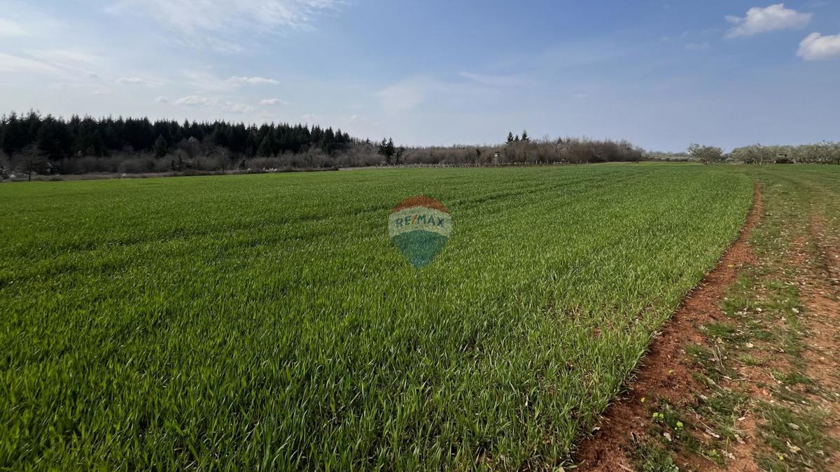 Stavbno zemljišče Markovići, Vižinada, 17.273m2