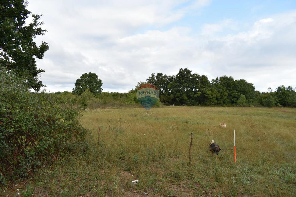 Bibići, Svetvinčenat, 5.363m2