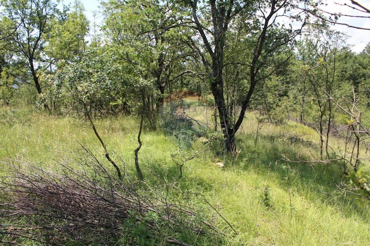 Stavbno zemljišče Kosi, Viškovo, 5.144m2