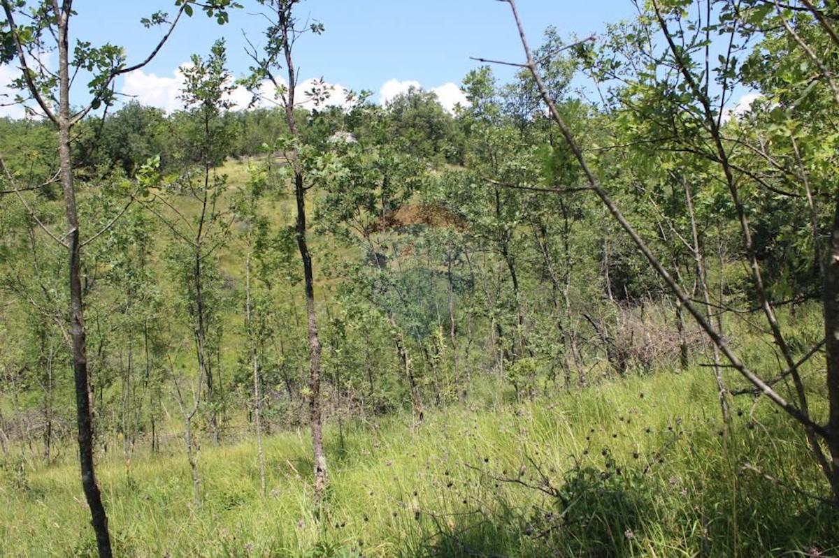 Stavbno zemljišče Kosi, Viškovo, 5.144m2