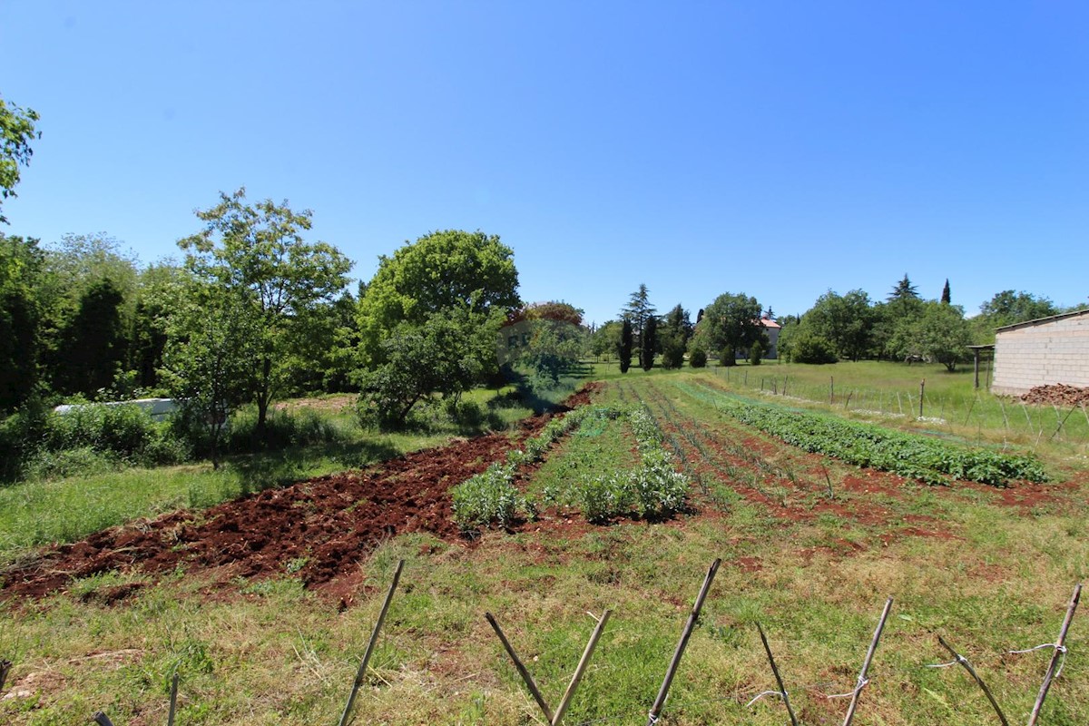 Kaštelir, Kaštelir-Labinci, 1.550m2