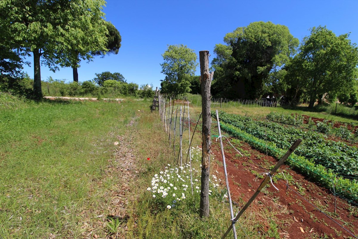 Kaštelir, Kaštelir-Labinci, 1.550m2