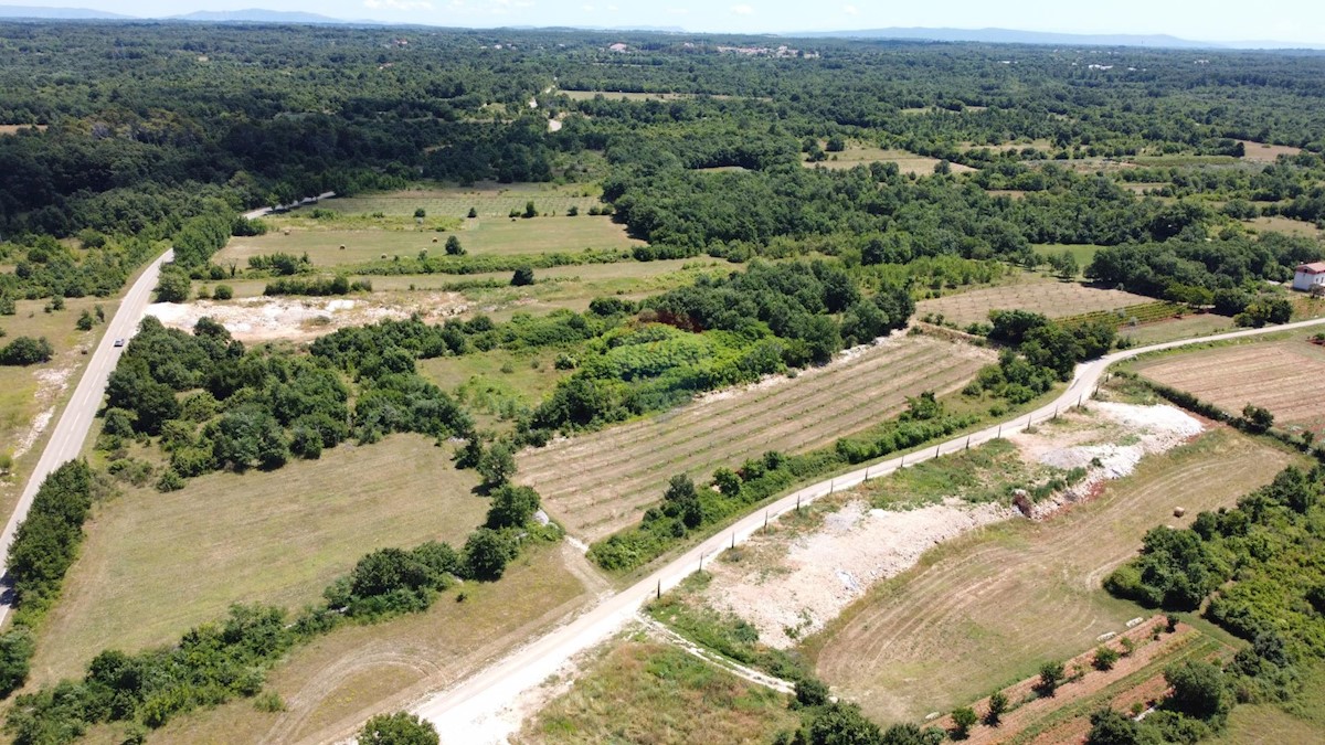 Svetvinčenat, 12.400m2