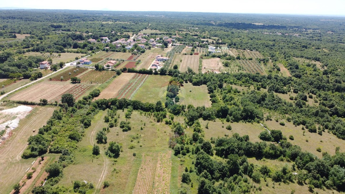 Svetvinčenat, 12.400m2