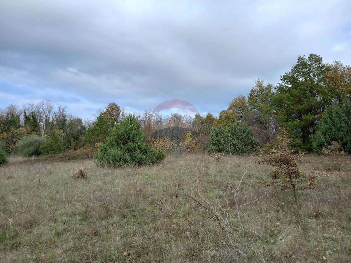 Krnica, Marčana, 6.736m2