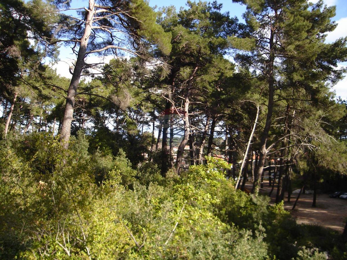 Veli Lošinj, Mali Lošinj, 2.000m2