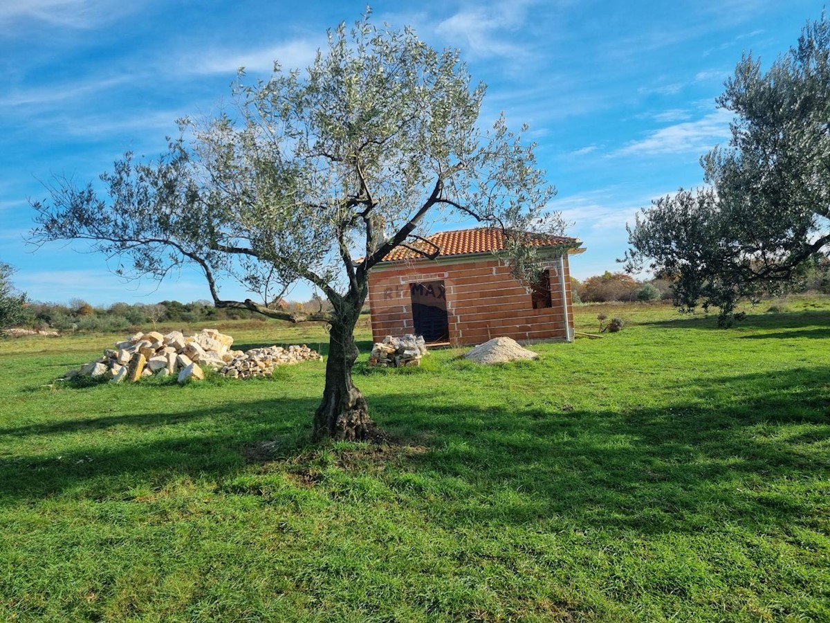 Muntić, Ližnjan, 7.208m2