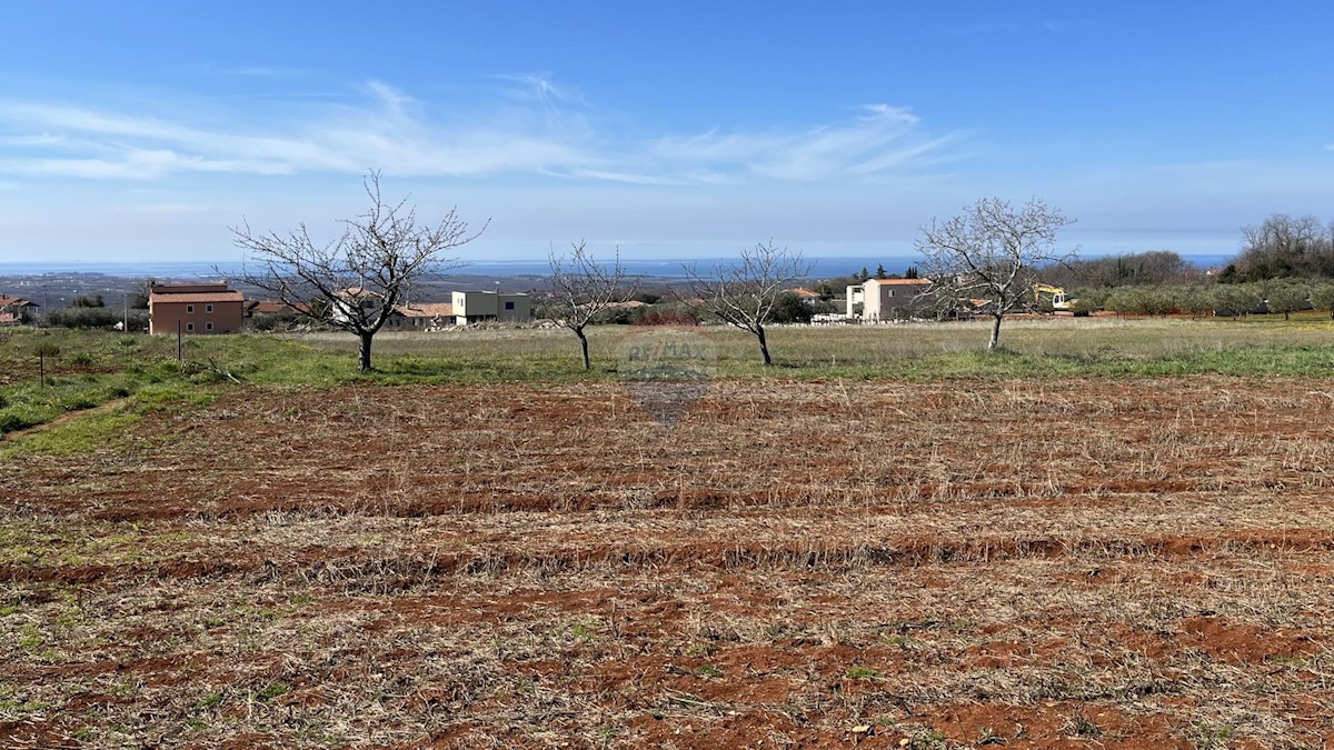 Kaštelir, Kaštelir-Labinci, 1.219m2