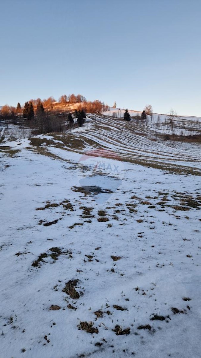 Begovo Razdolje, Mrkopalj, 4.000m2