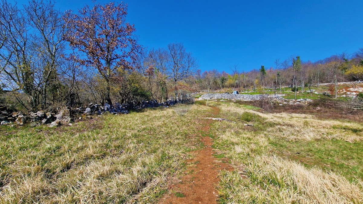 Završje, Grožnjan, 1.730m2