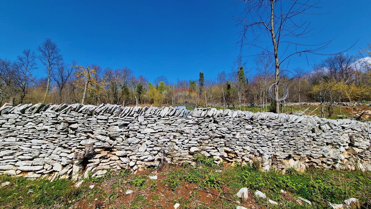 Završje, Grožnjan, 1.730m2