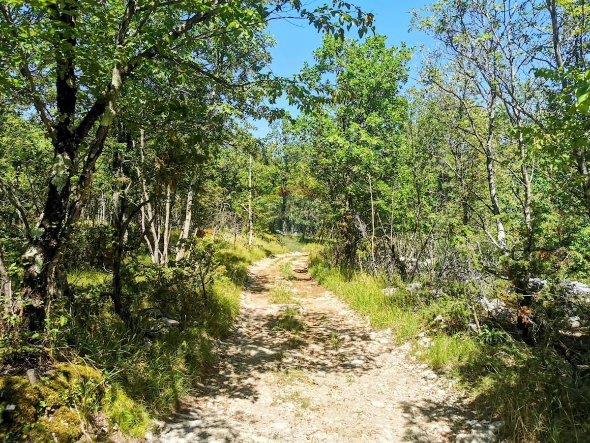 Stavbno zemljišče Lipa, Matulji, 2.288m2