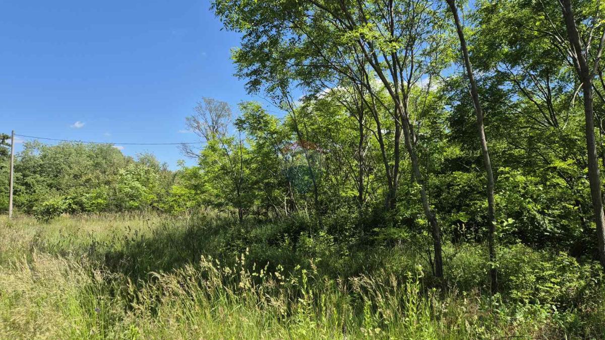 Stavbno zemljišče Šumber, Sveta Nedelja, 7.592m2