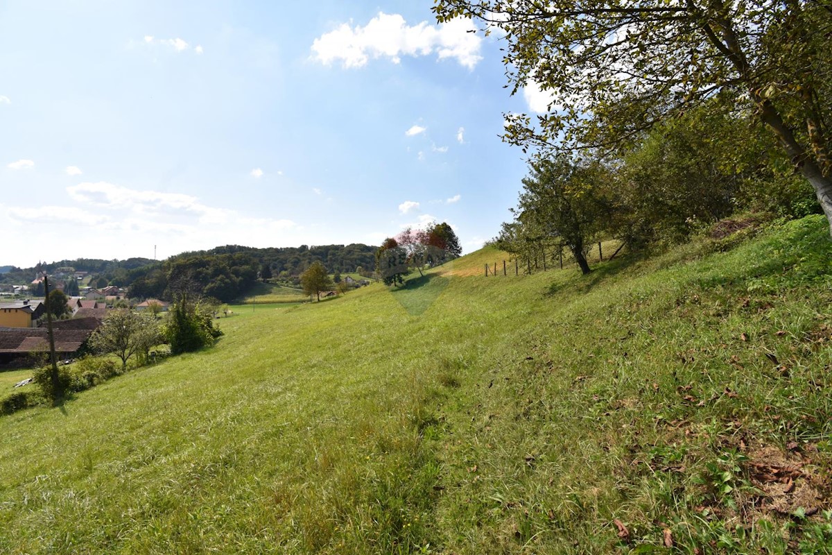 Stavbno zemljišče Pluska, Luka, 4.854m2