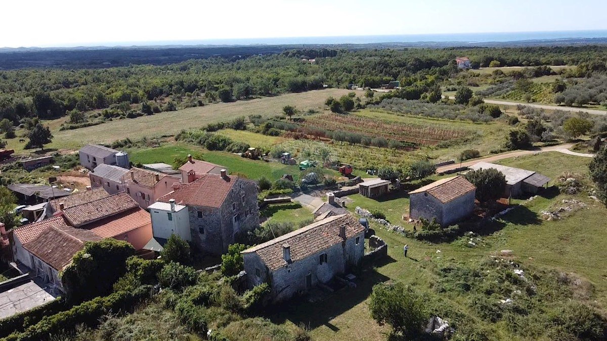 Hiša Benčani, Višnjan, 300m2