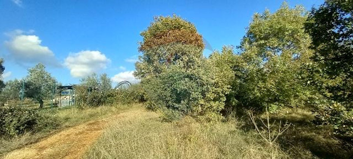 Stavbno zemljišče Kanfanar, 6.010m2