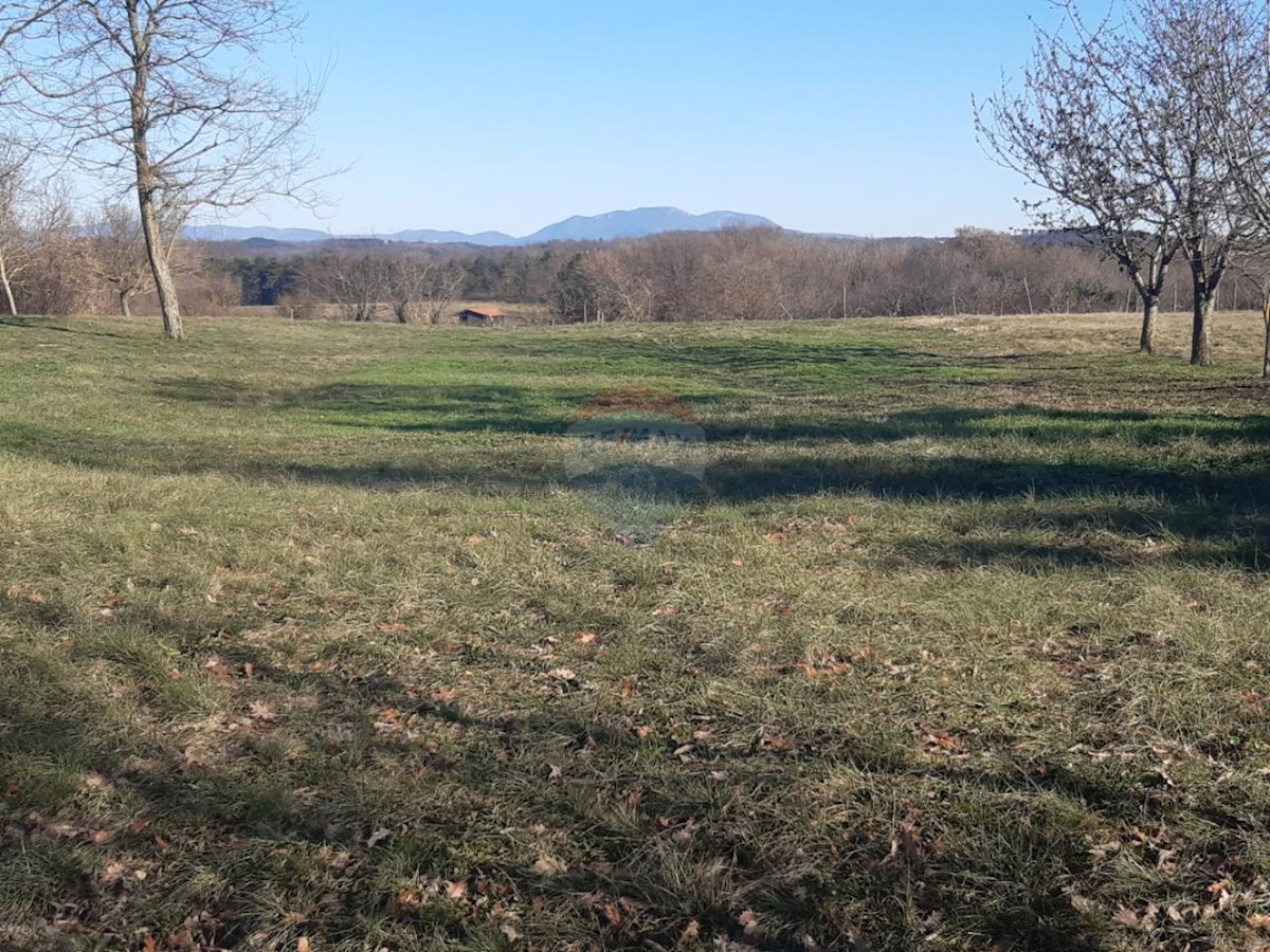 Stavbno zemljišče Beram, Pazin - Okolica, 1.975m2