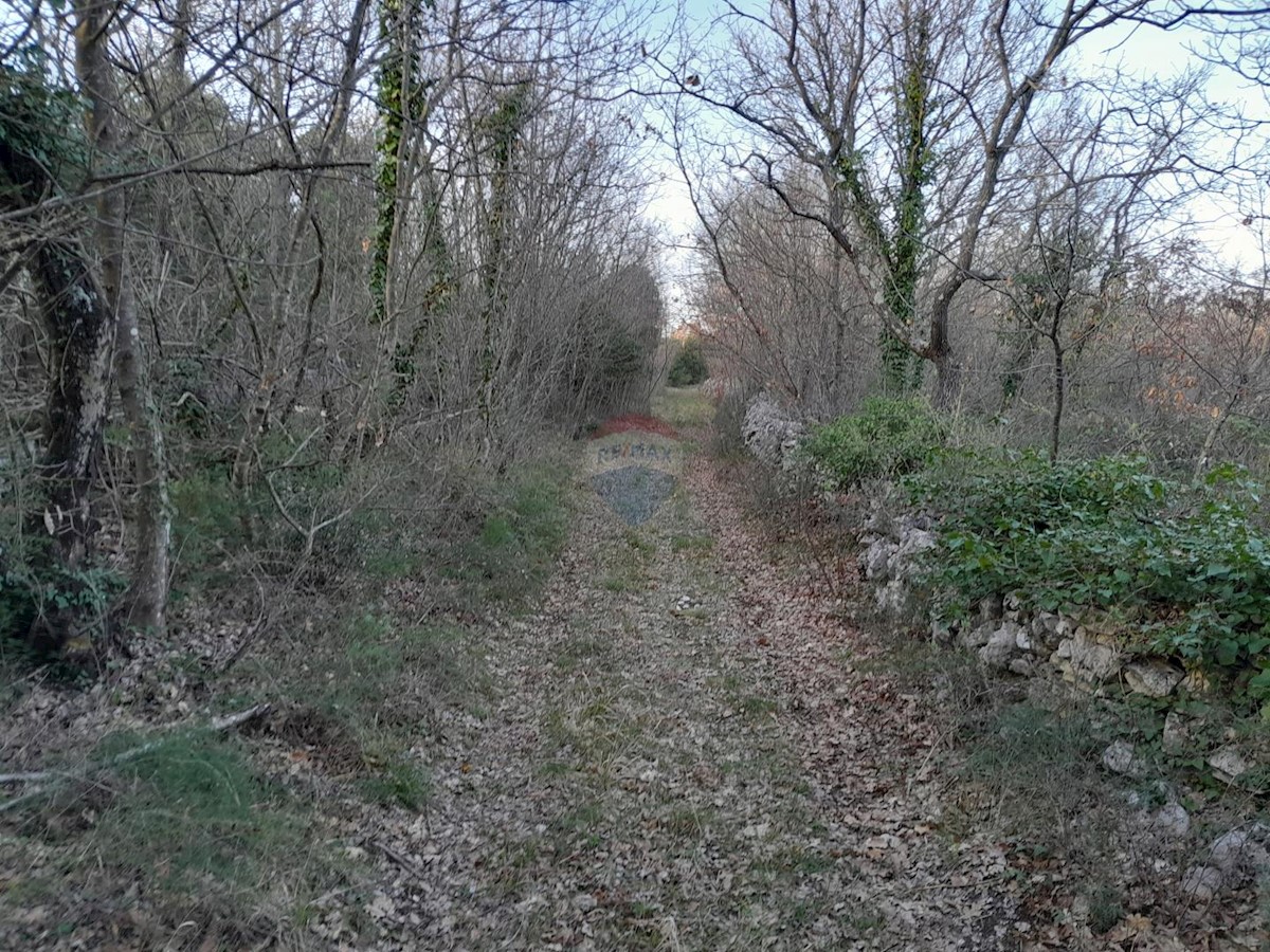 Stavbno zemljišče Orbanići, Marčana, 13.704m2