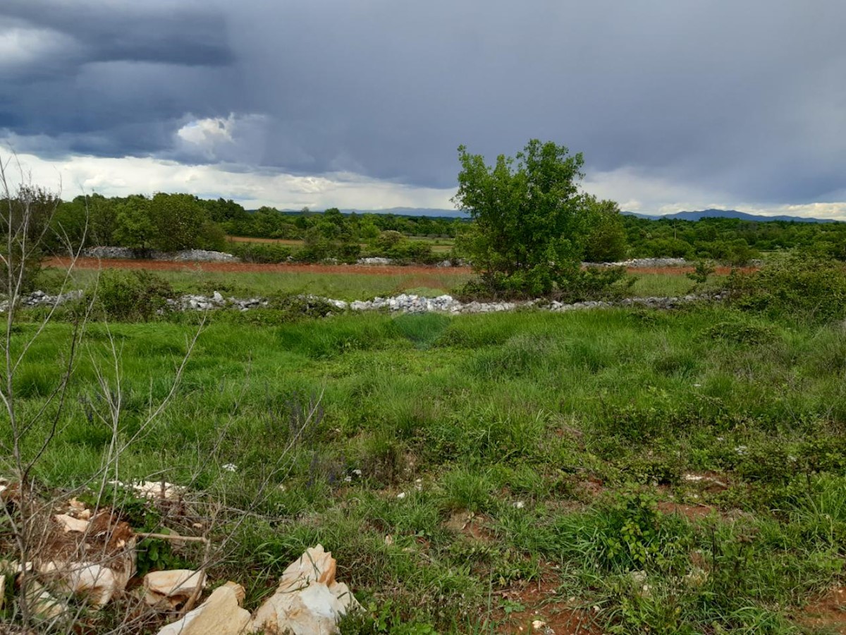 Stavbno zemljišče Barban, 1.381m2