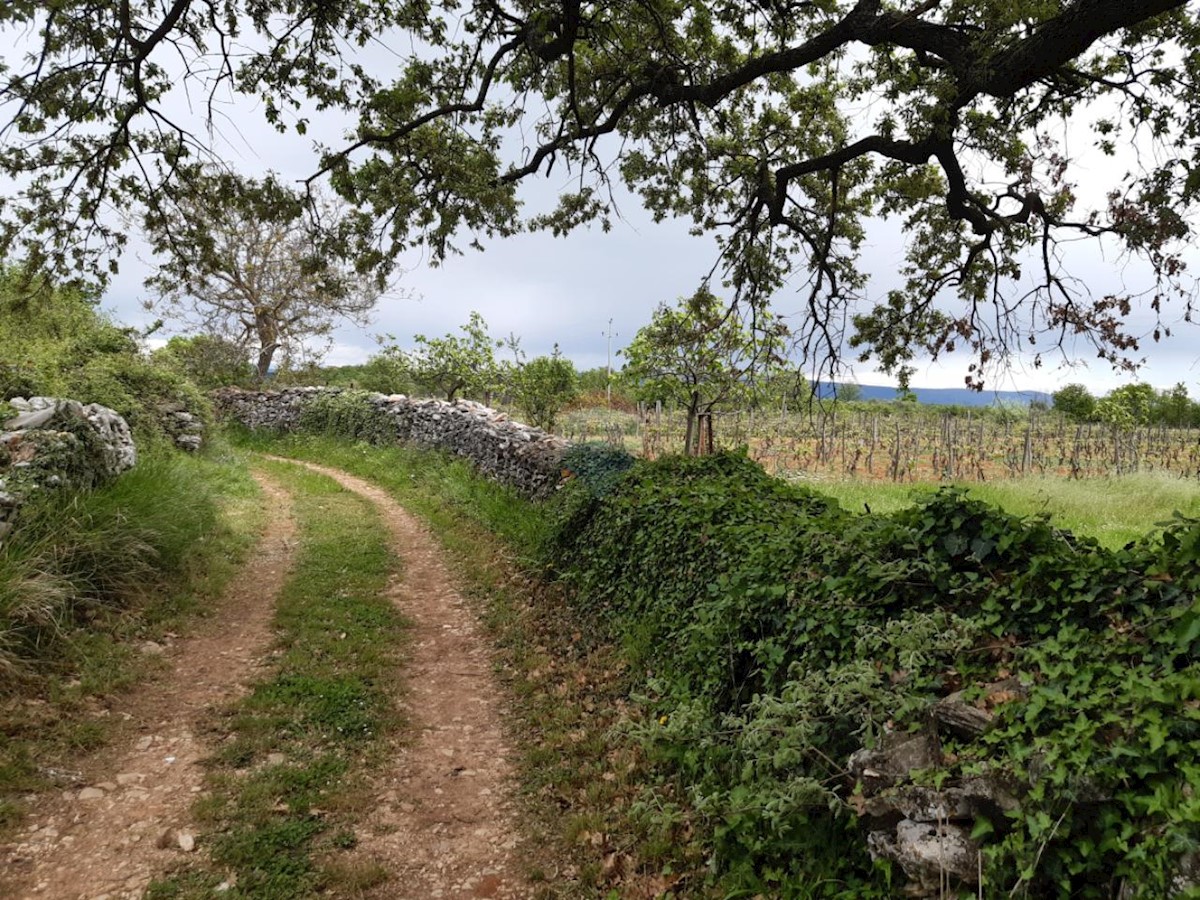 Stavbno zemljišče Barban, 1.381m2