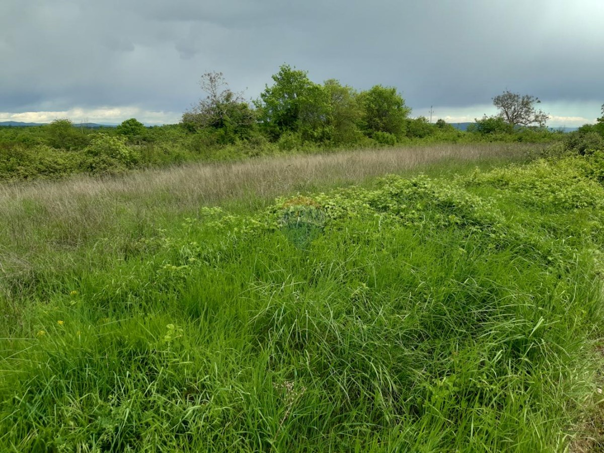 Stavbno zemljišče Barban, 1.381m2