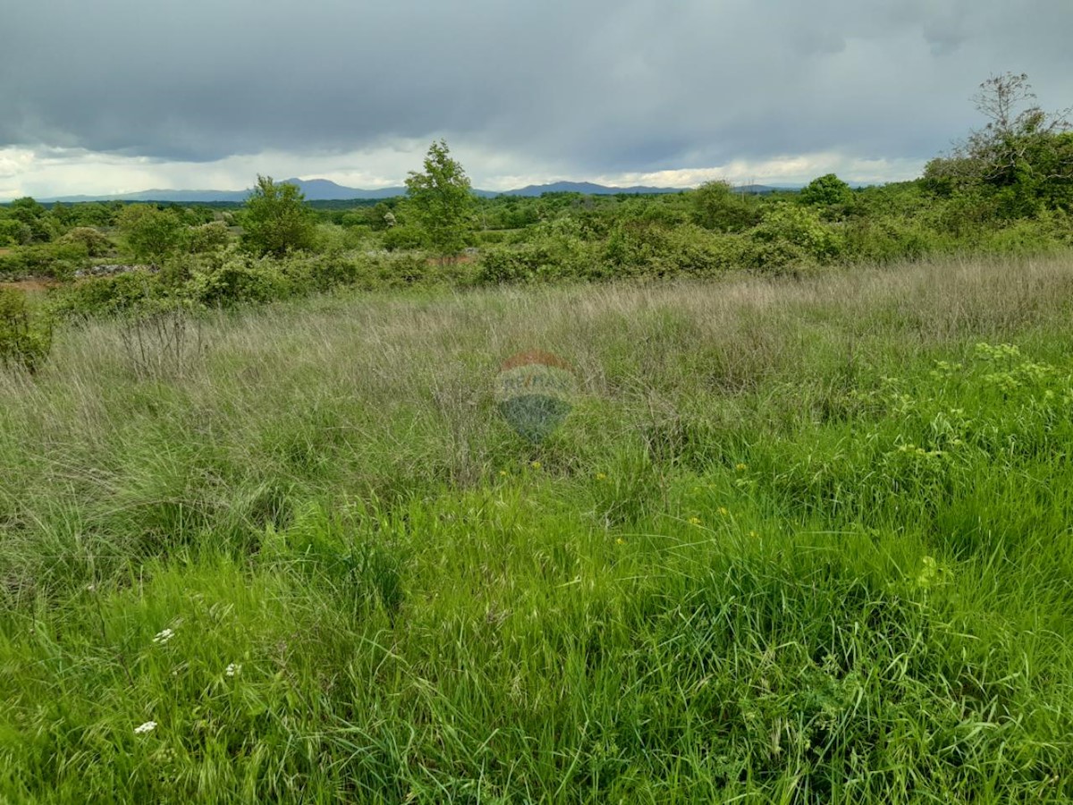 Stavbno zemljišče Barban, 1.381m2